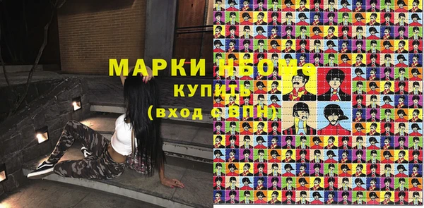 индика Алзамай