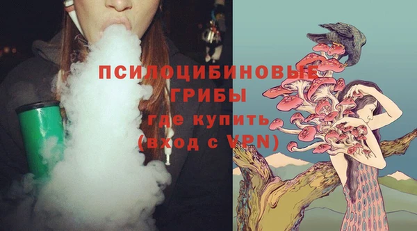 тгк Алексеевка