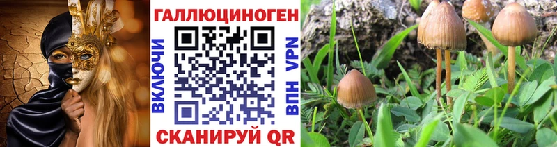 Галлюциногенные грибы ЛСД  магазин    Бодайбо 